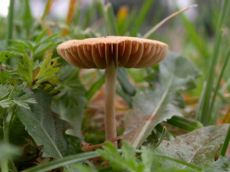 Nel parco sotto casa